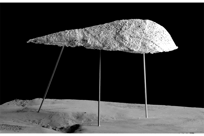 Fig. 1
Scale model of the Shell - Living Work: mixed technique. Fig. 1
Scale model of the Shell - Living Work: mixed technique.