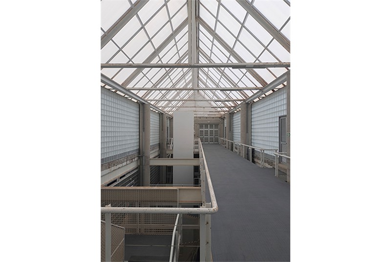 Fig. 20
Viste interne della facoltà di
Scienze del Mare di Tafira. © C.
Dallatomasina. Fig. 20
Viste interne della facoltà di
Scienze del Mare di Tafira. © C.
Dallatomasina.