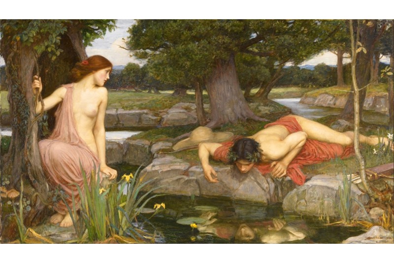 Fig. 10
John William Waterhouse, Echo and Narcissus, 1903. Fig. 10
John William Waterhouse, Echo and Narcissus, 1903.