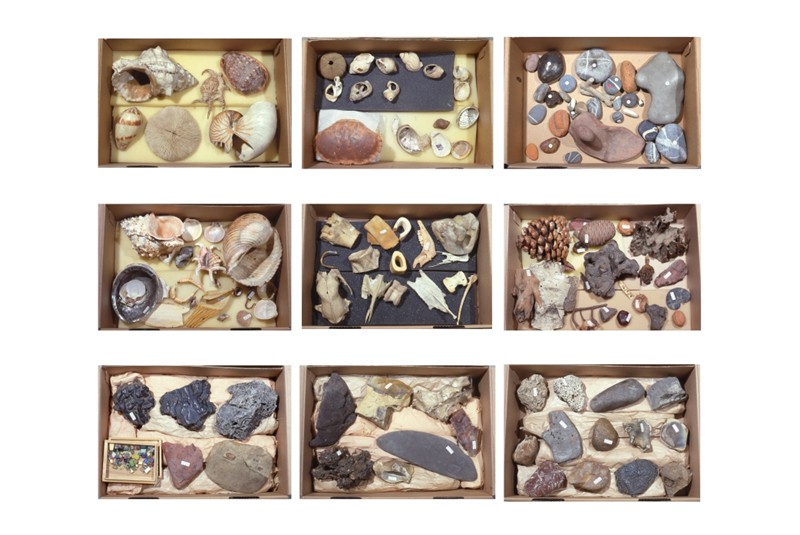Fig. 7
Selection of boxes containing sea debris, stones, and bones; they are objets &agrave; r&eacute;action po&eacute;tique from the apartment on Rue Nungesser-et-Coli. &copy; Fondation Le Corbusier.