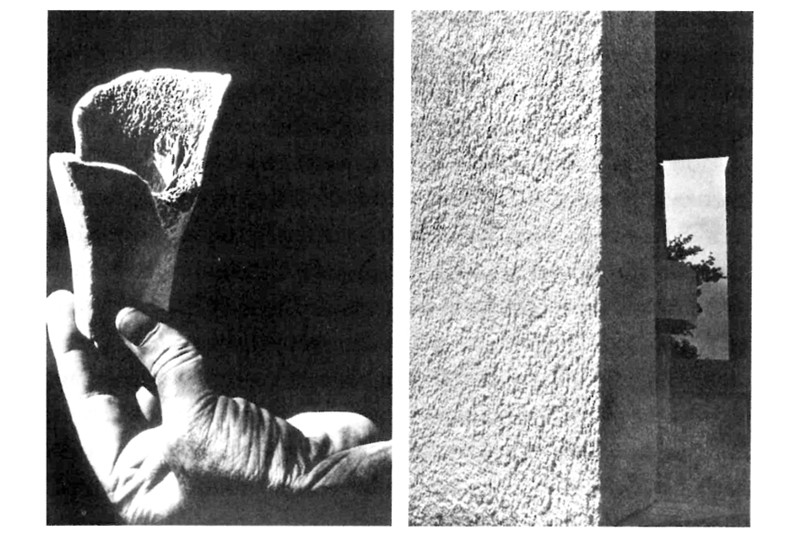 Fig. 8
The evident analogy between the rough surface of the inside of a bone and the material rendering of the external plaster of the church of Ronchamp (Maak 2011, p. 61).